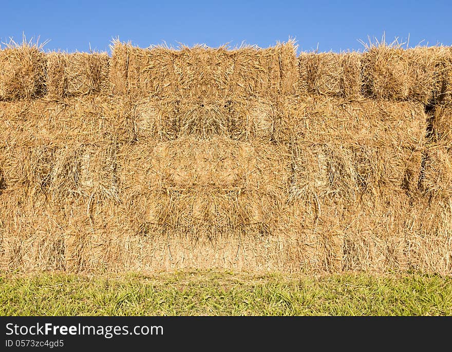 Field with bales of hay