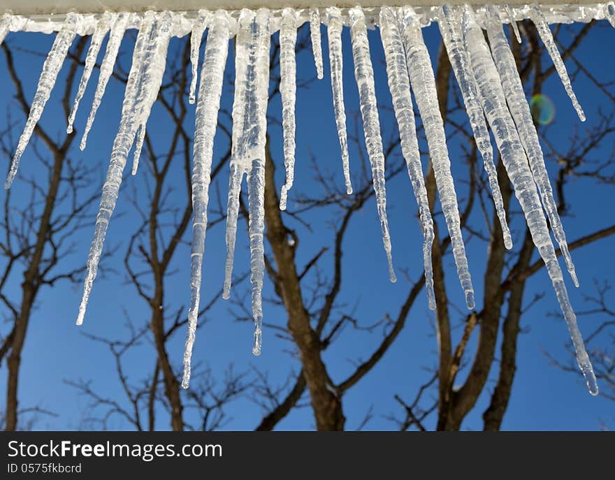 Icicles hanging from the edge of roof.