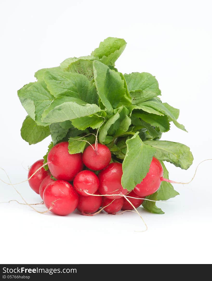 Perfect Fresh Raw Radish with Stems and Leafs isolated on white background