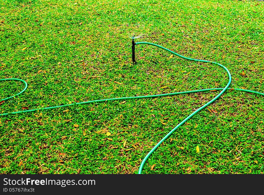 Rubber tube for watering plants in the garden