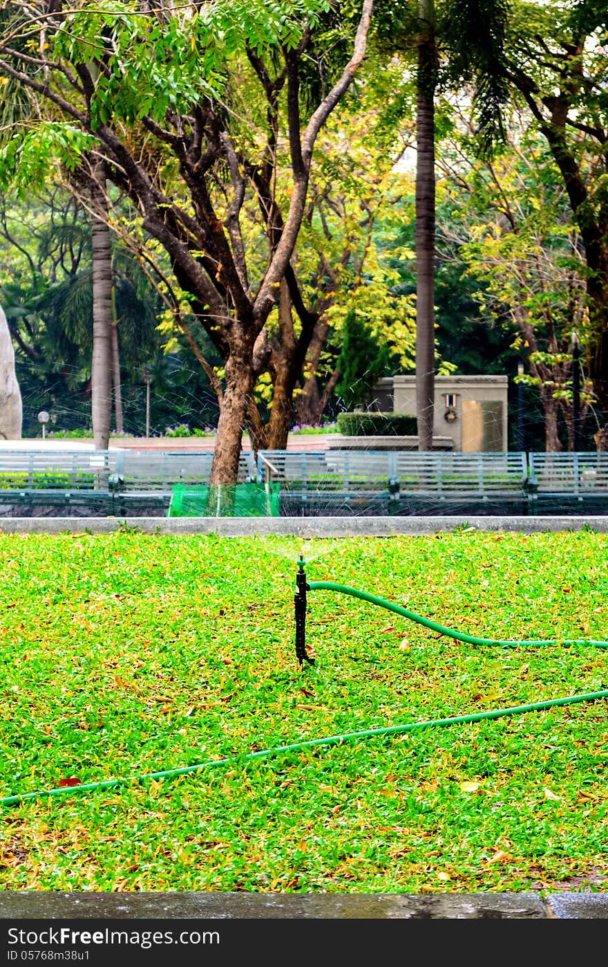 Rubber tube for watering plants in the garden