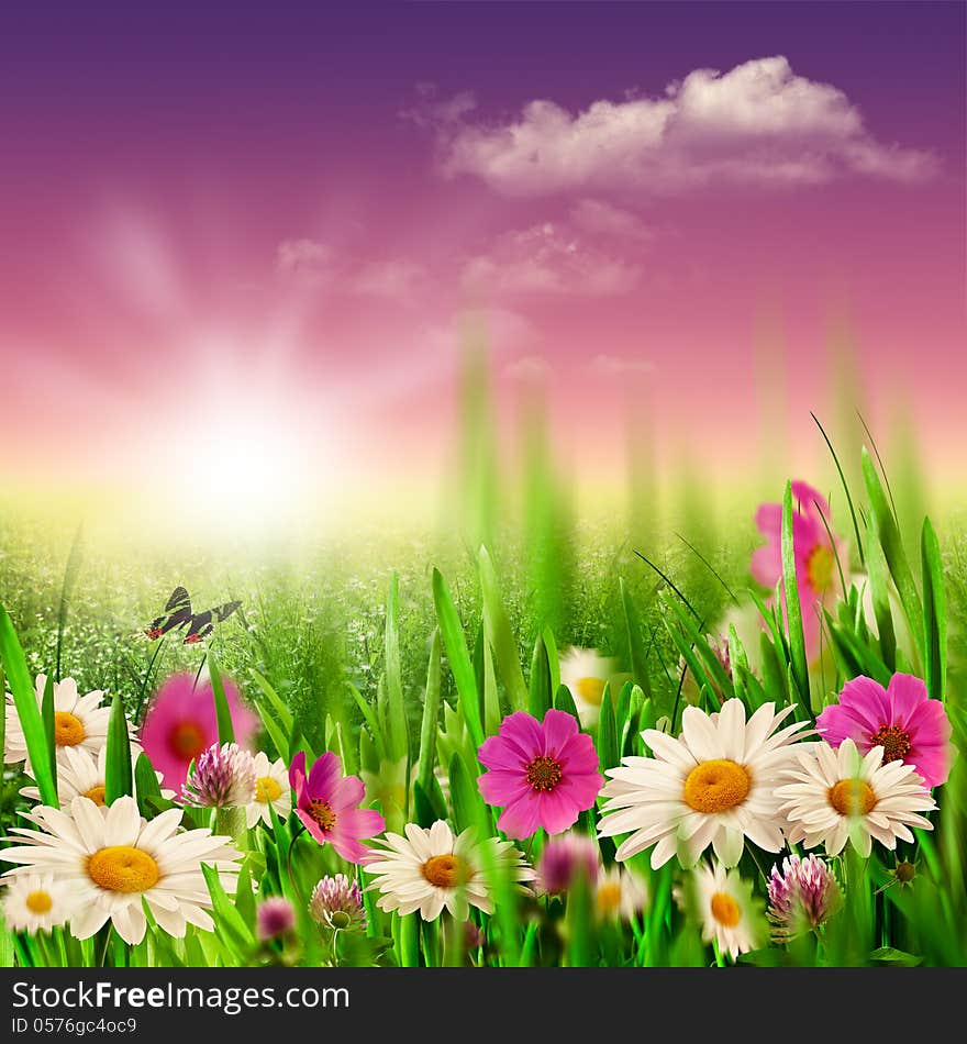 Beauty evening on the meadow, natural backgrounds