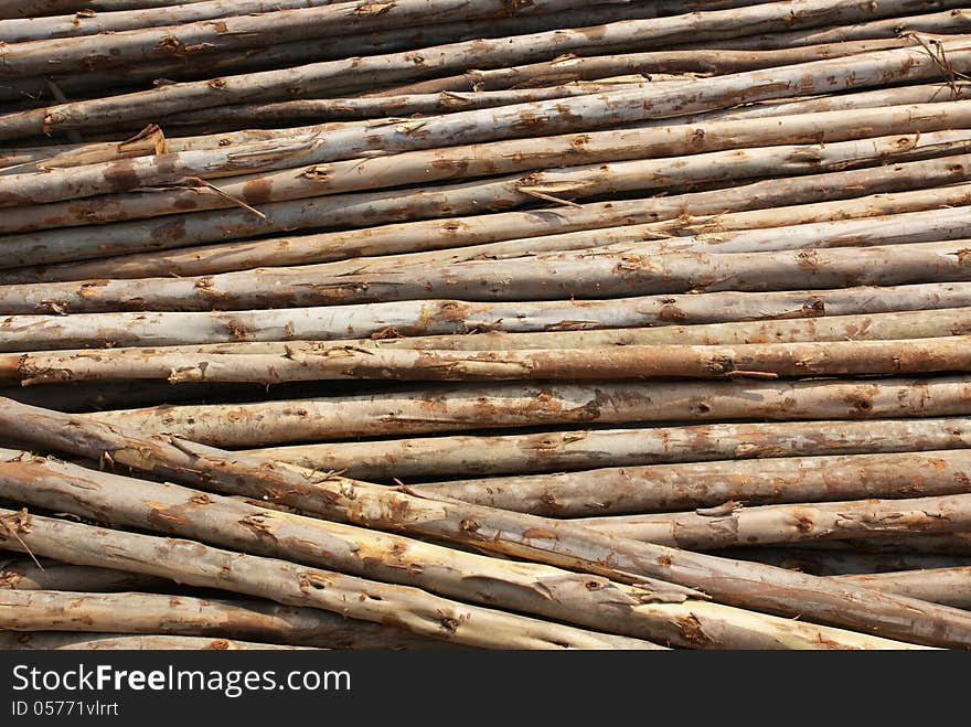 Eucalyptuses wood stack