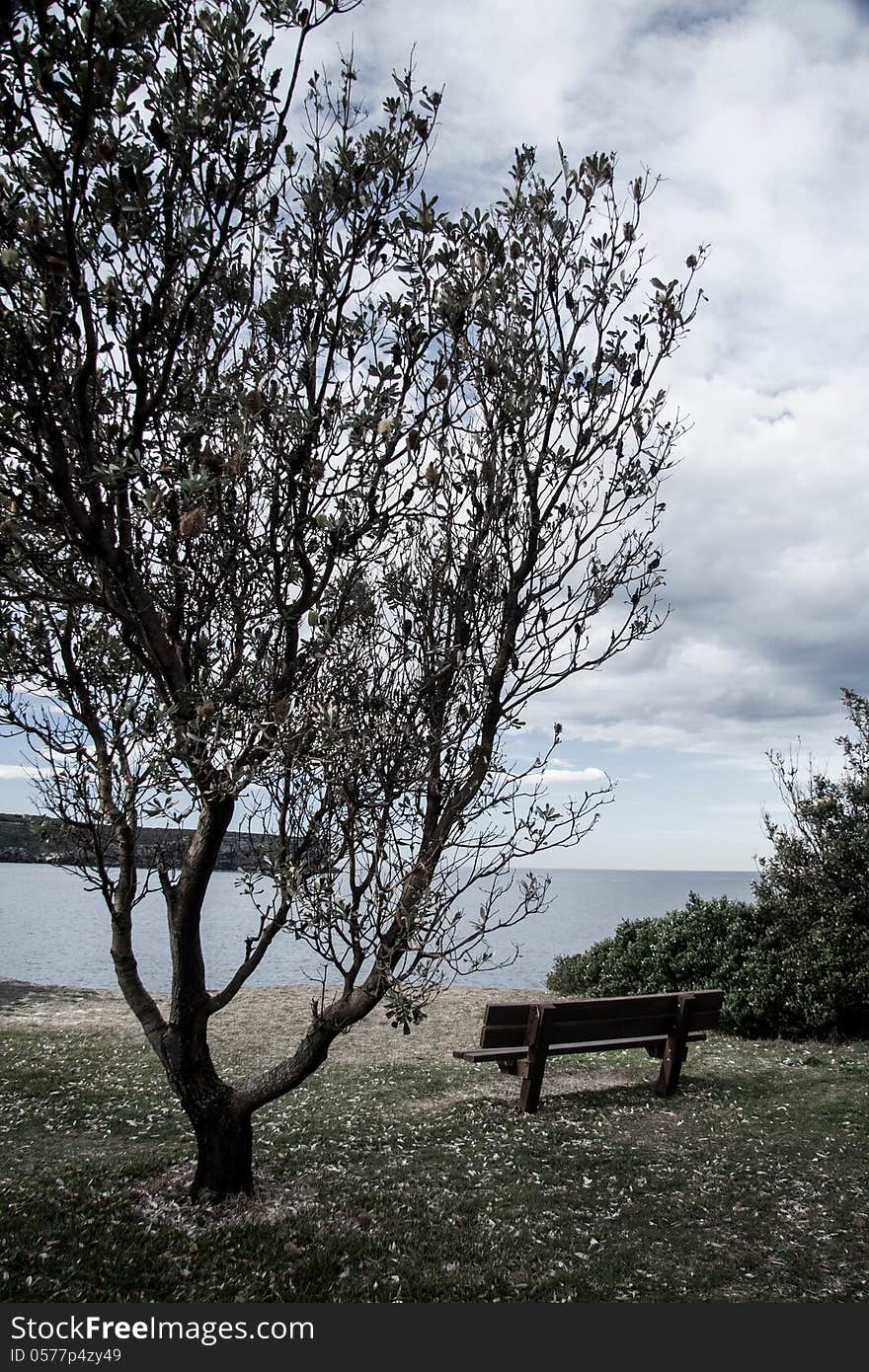 Lonely chair in watson bay, Sydney.