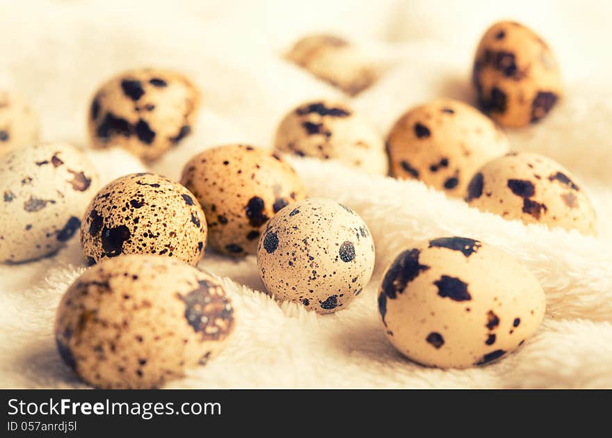 Quail eggs. healthy eating and nutrition