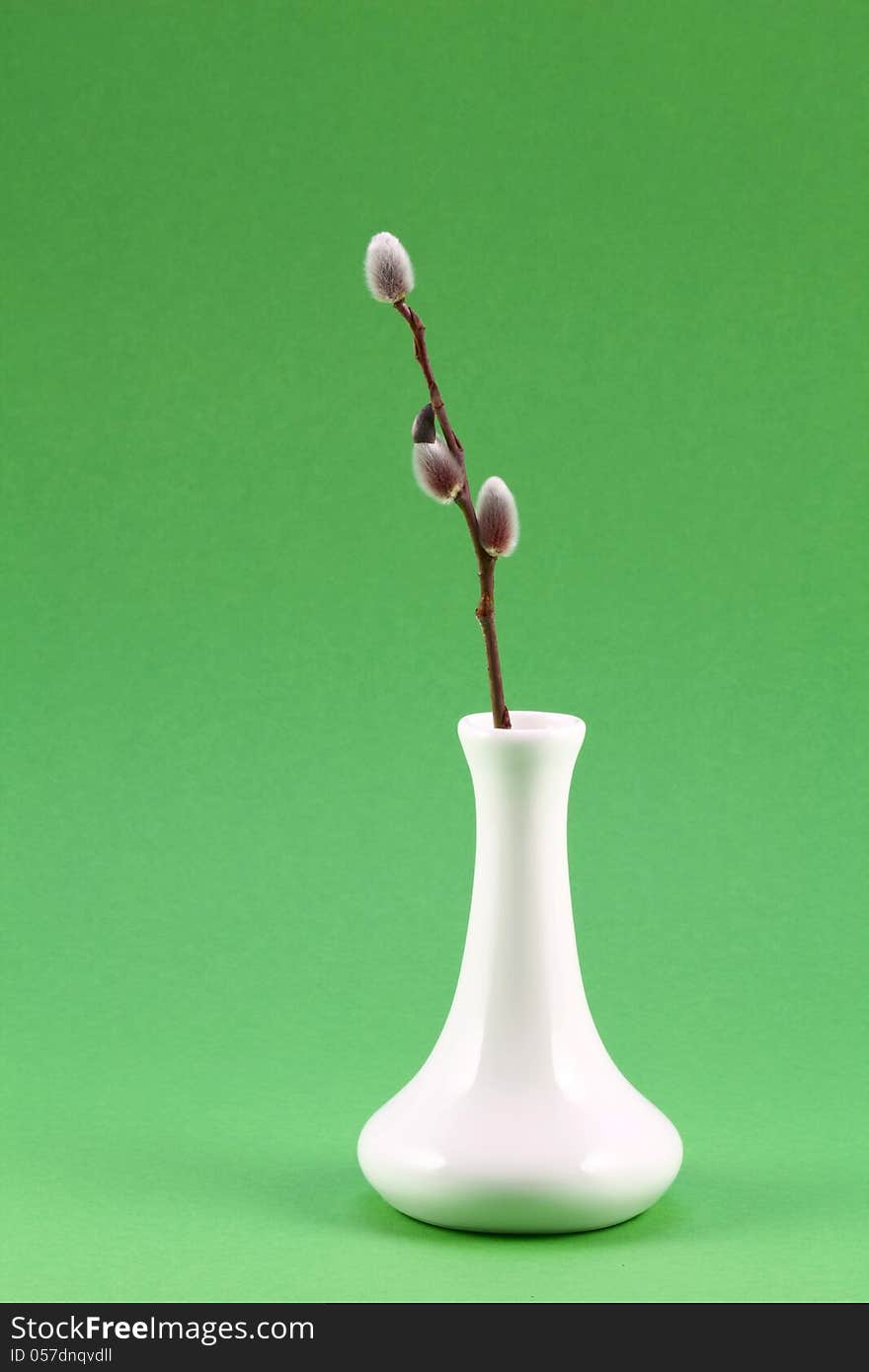 White vase with a sprig of willow