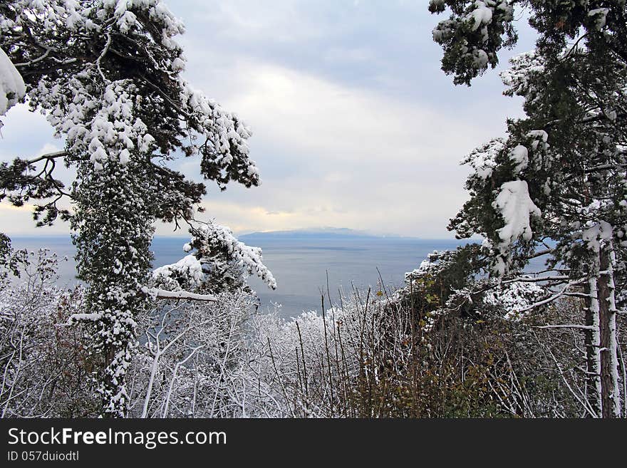 Winter landscape