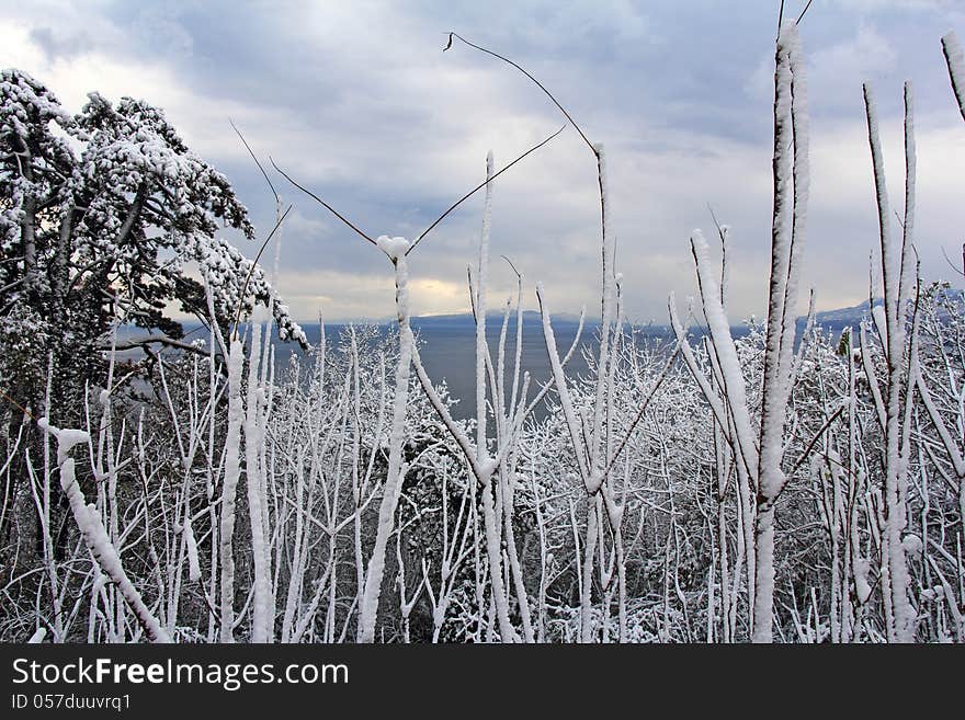 Winter Landscape2