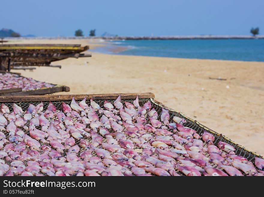 Dried squid at the fishing village Thailand