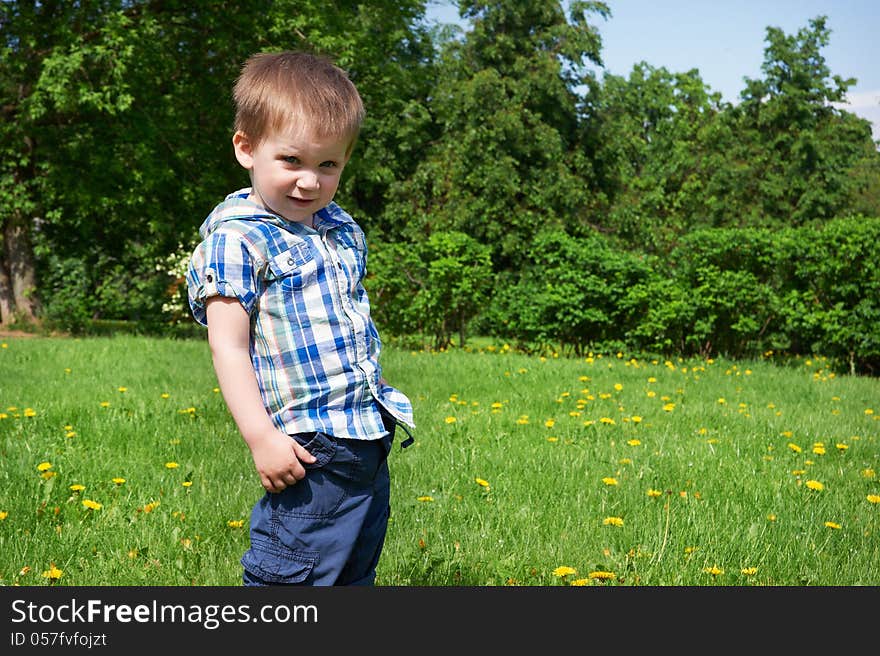 Little boy stands on meadow in summer day