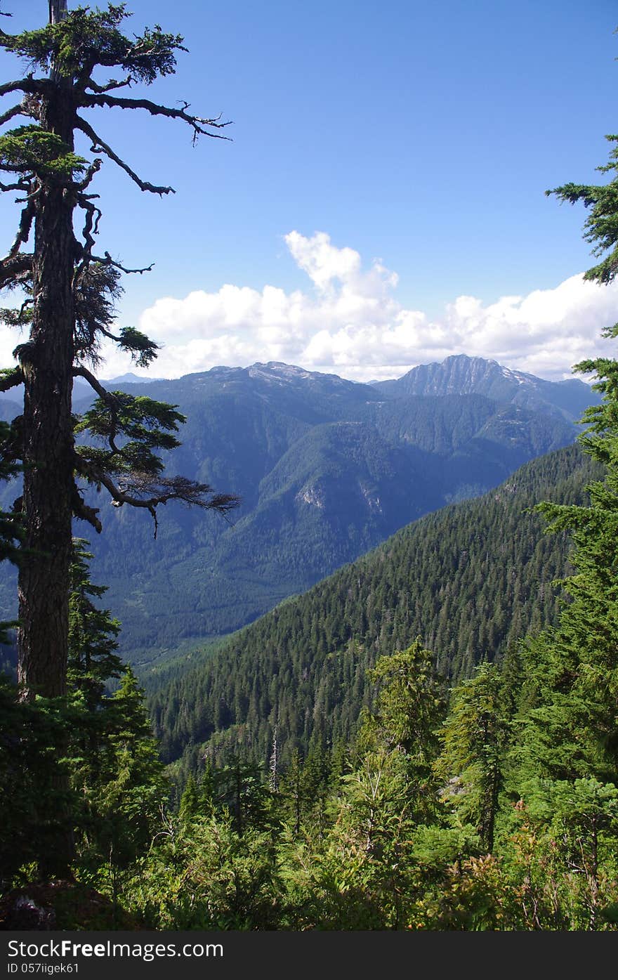 Among the tallest and most prominent of the North Shore Mountains. British Columbia, Canada. Among the tallest and most prominent of the North Shore Mountains. British Columbia, Canada