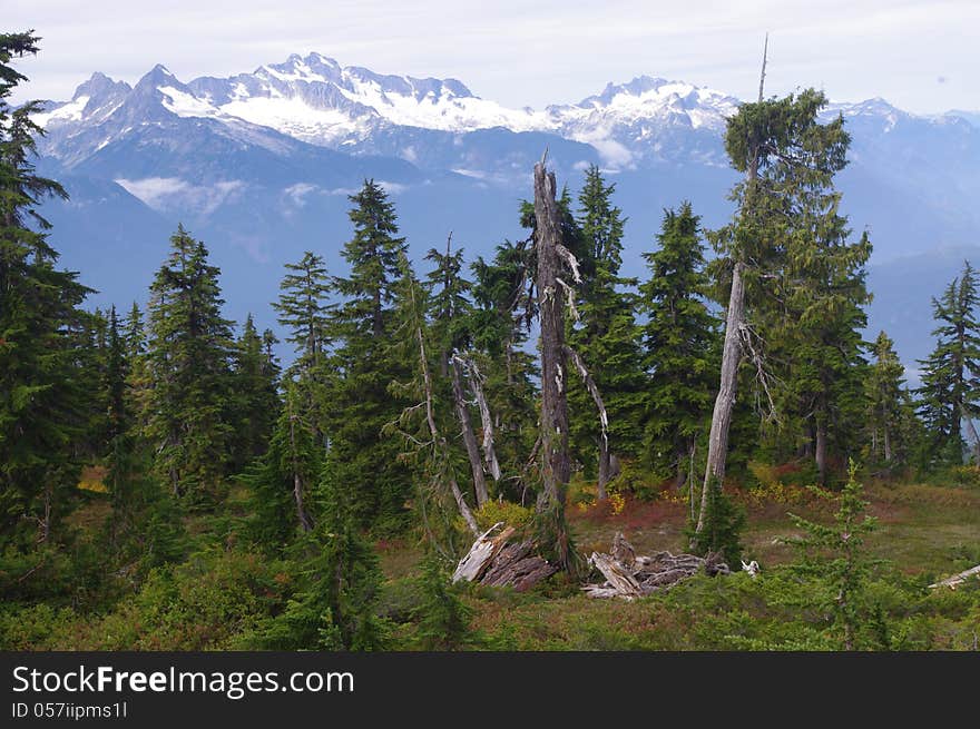 Hiking to Elfin Lakes