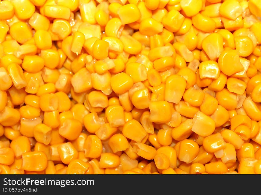 Background of grains of maize