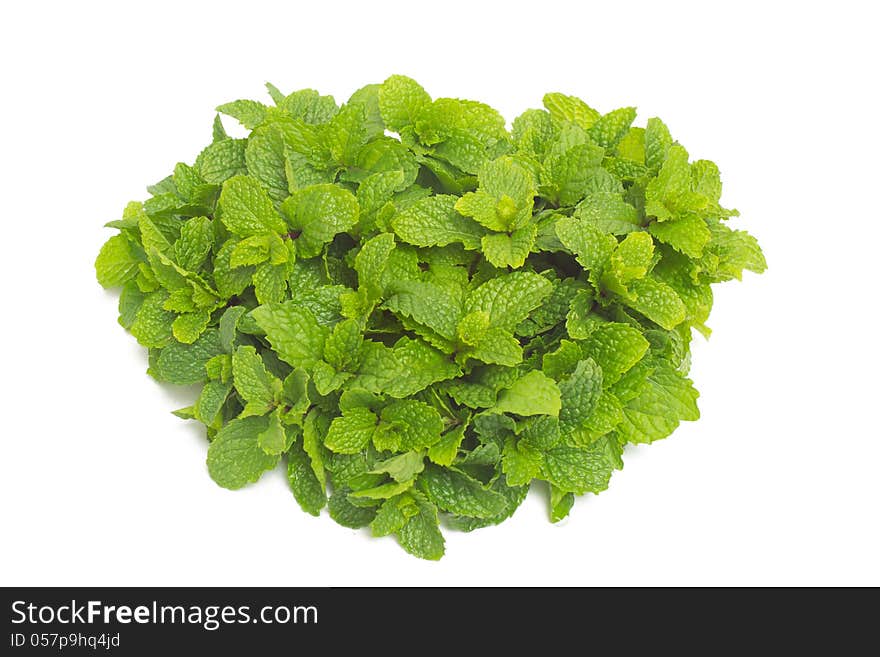 Peppermint isolated on white background