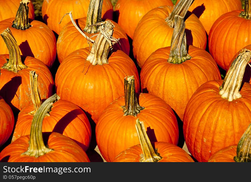 Orange pumpkins and a halloween display.