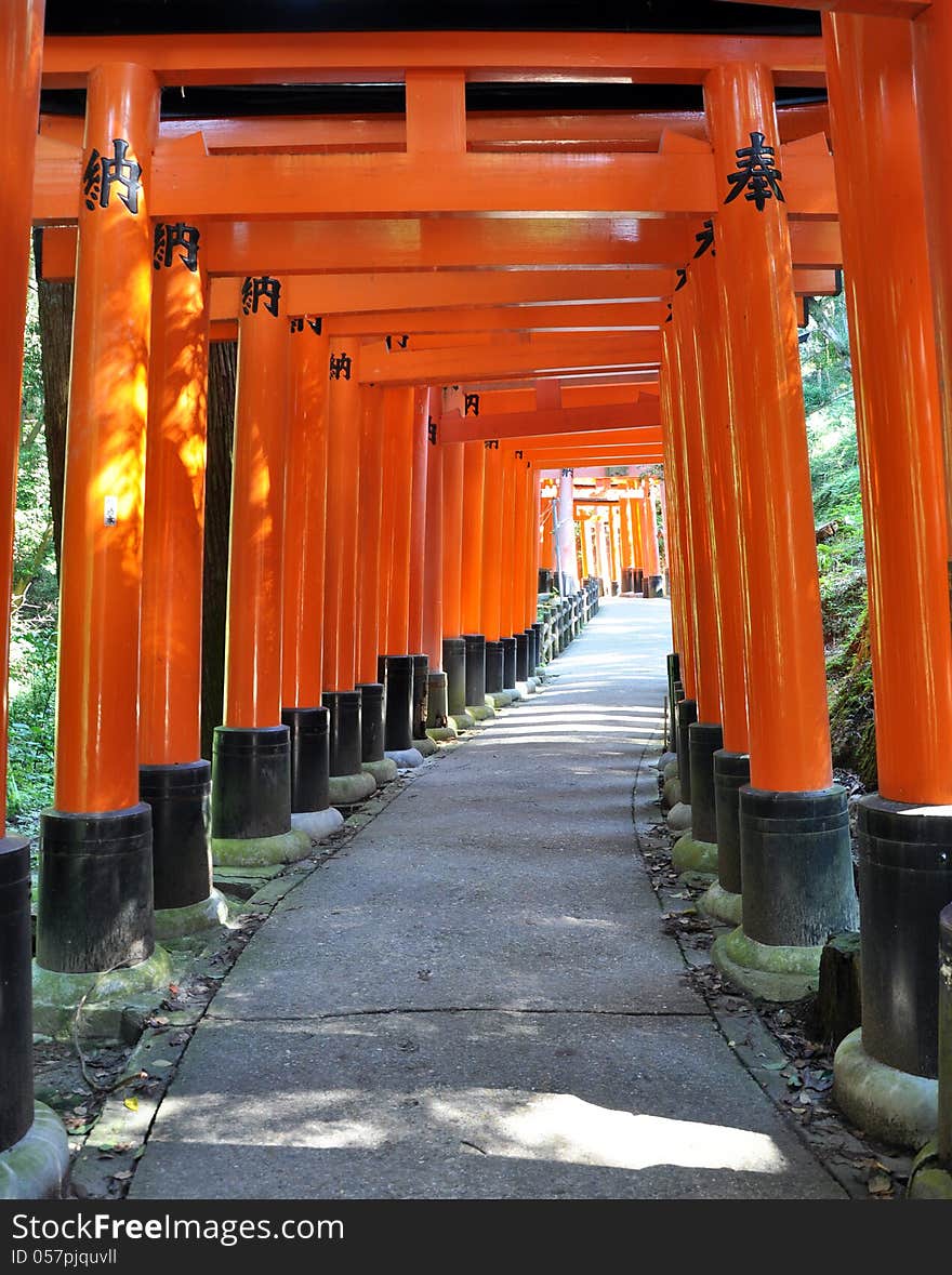 Thousand torii gates in Fushimi Inari Shrine, Kyoto, Japan