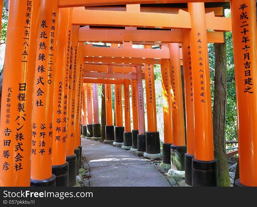 Tunnel of thousand torii gates in Fushimi Inari Shrine, Kyoto, Japan