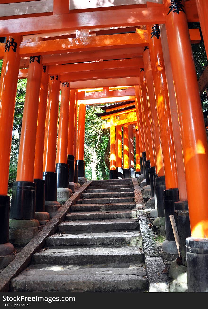 Tunnel of thousand torii gates in Fushimi Inari Shrine, Kyoto