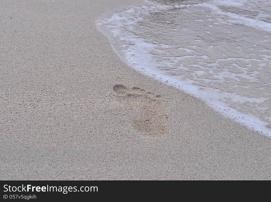 Human footprints on a beach leading into the sea. Human footprints on a beach leading into the sea