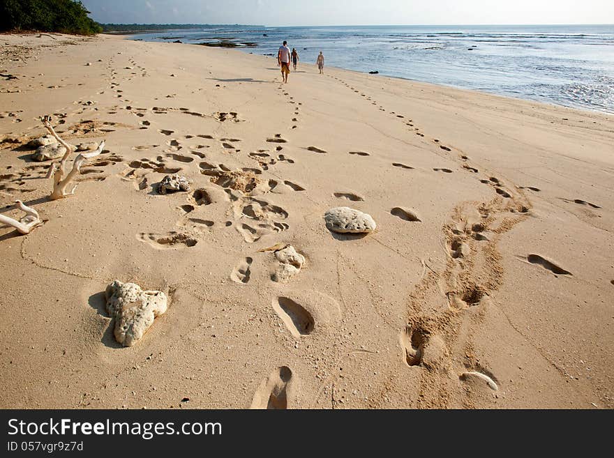 Wild beach