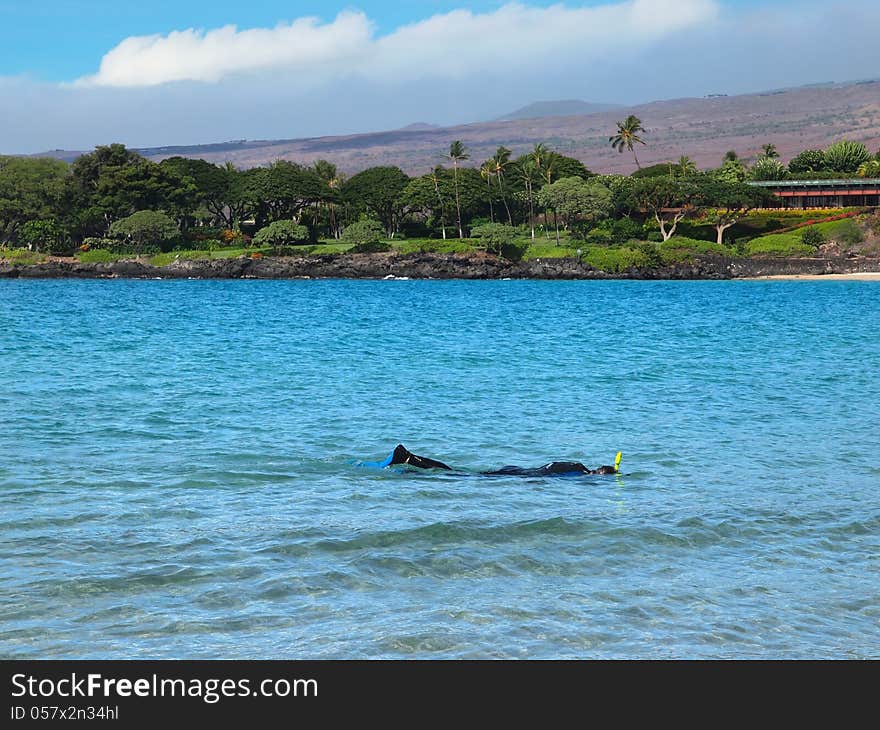 Snorkeling in the ocean