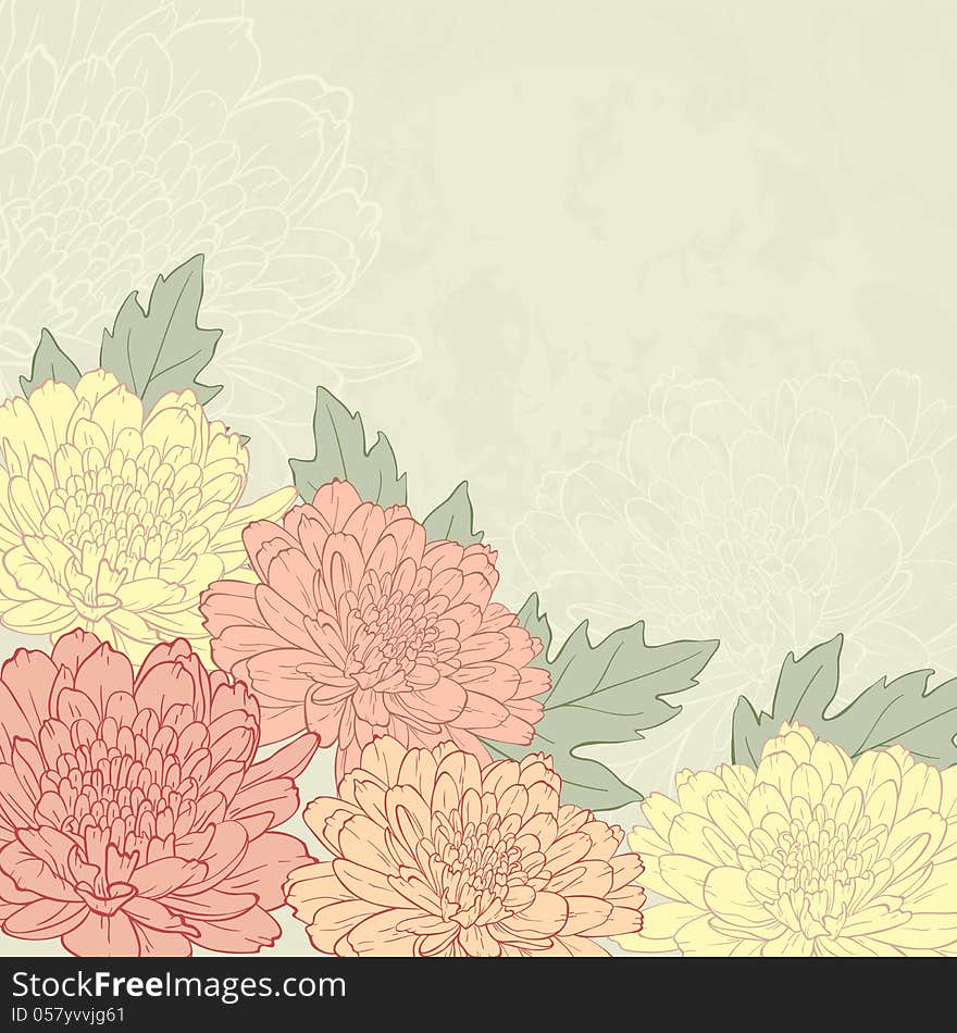 Vector illustration for greeting card with chrysanthemum. Vector illustration for greeting card with chrysanthemum.