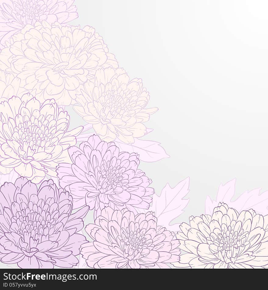 Vector illustration for greeting card with chrysanthemum. Vector illustration for greeting card with chrysanthemum.