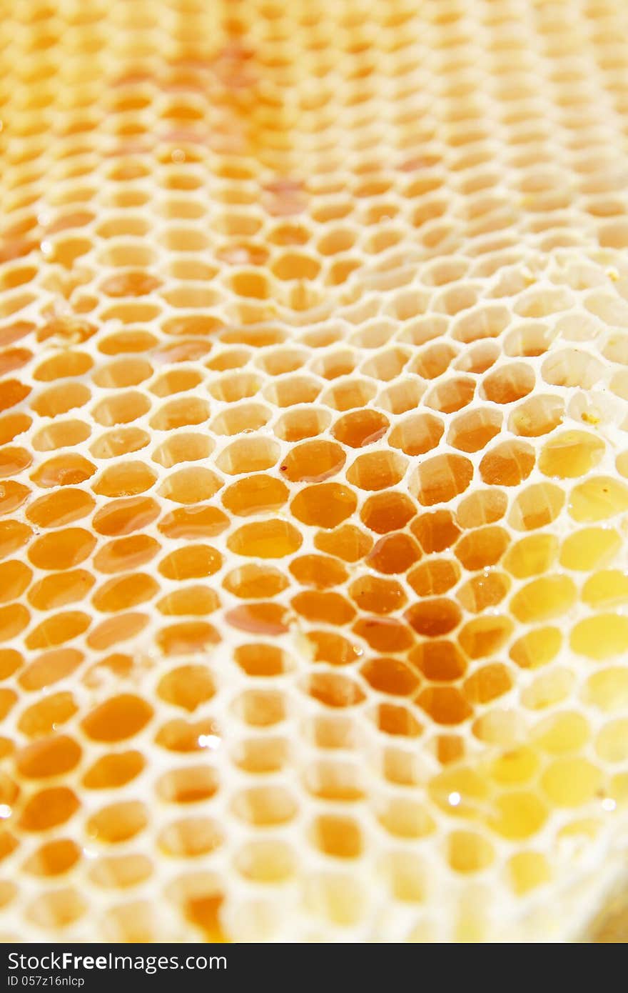 Honeycomb