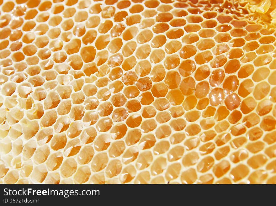 Honeycomb