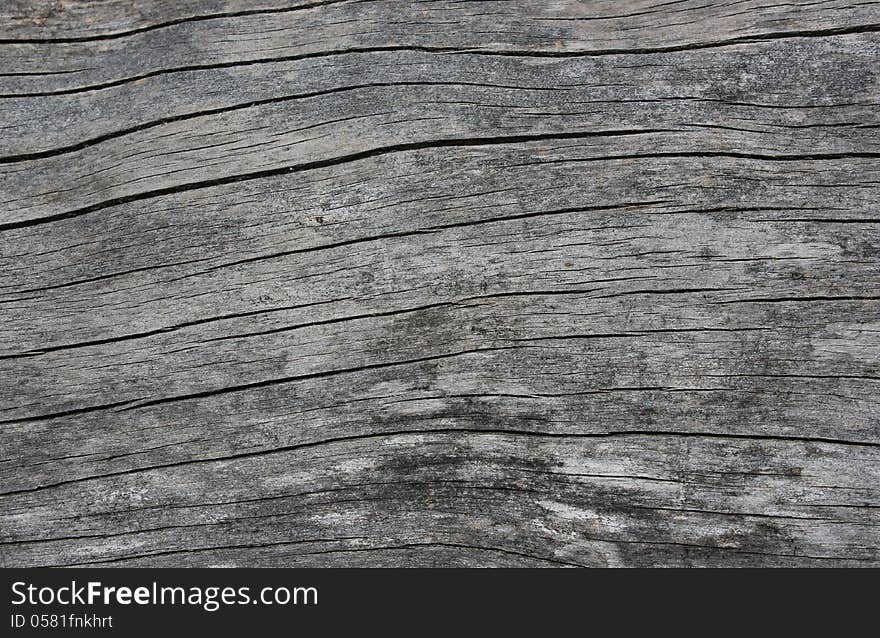 Weather-beaten wood surface closeup