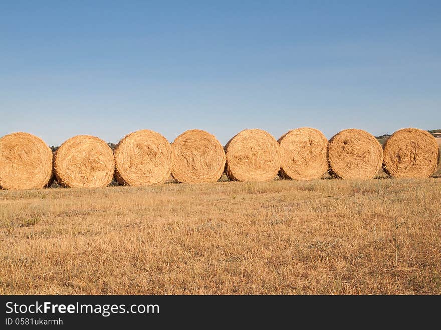 Row of bales of hay