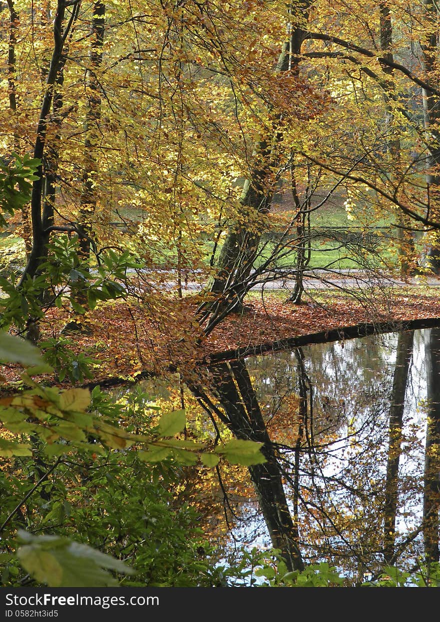 Trees reflecting in the water in autumn. Trees reflecting in the water in autumn