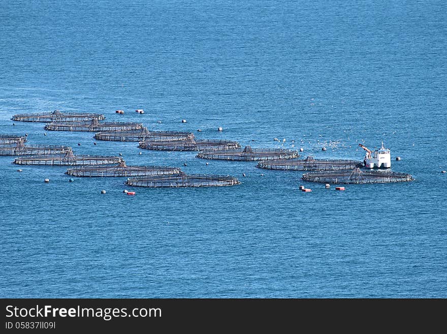 Fishing boat working in fish heaven