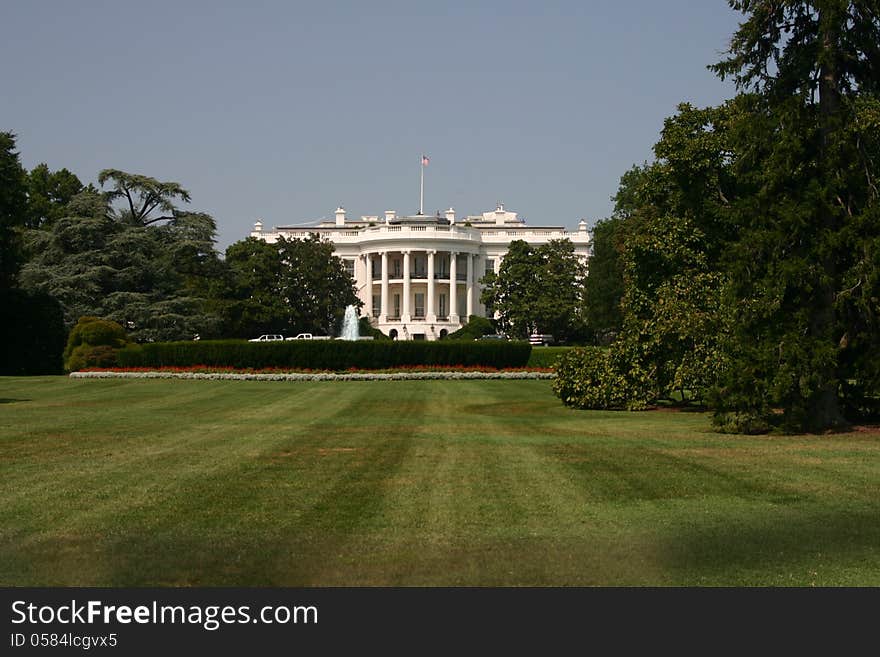 The White House in the summer with a lot of green