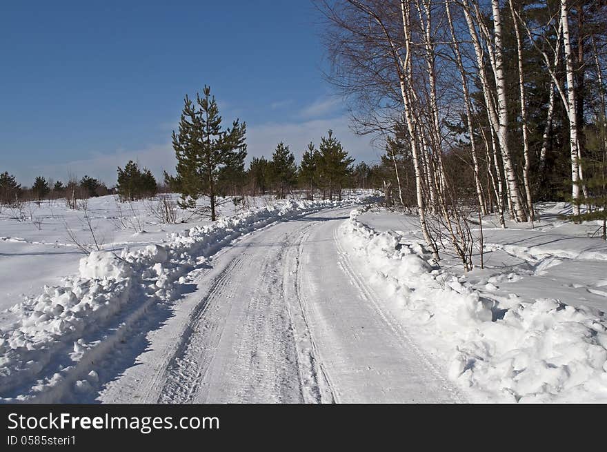 Snowy road at forest edge