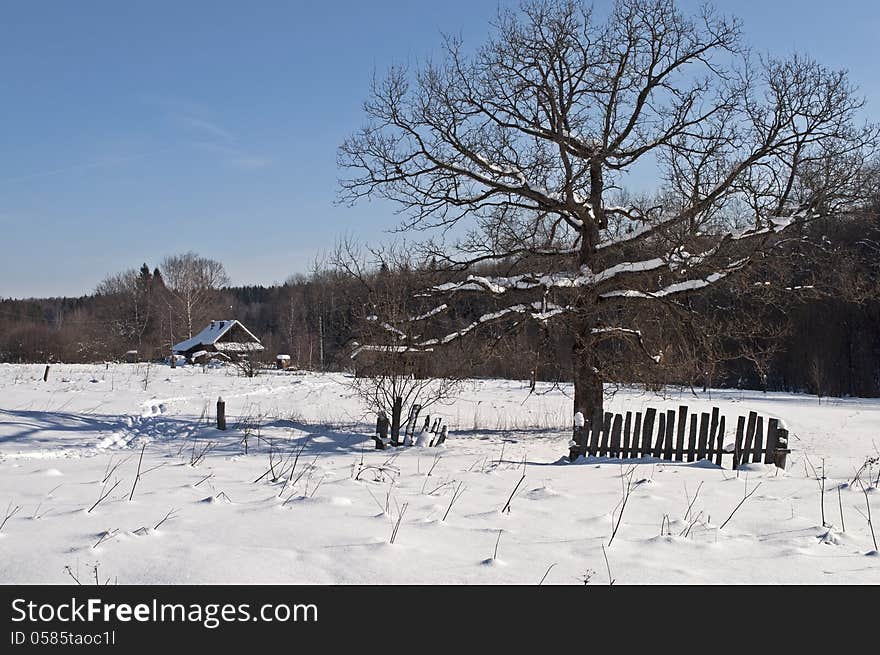 Village Outskirts On Winter Sunny Day