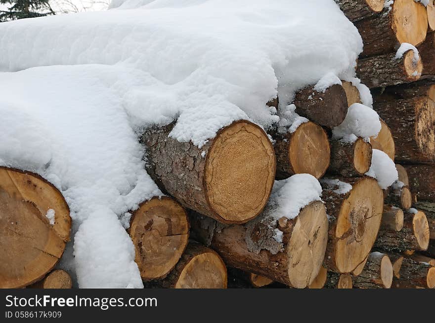 Set of timber lying in the snow. Set of timber lying in the snow