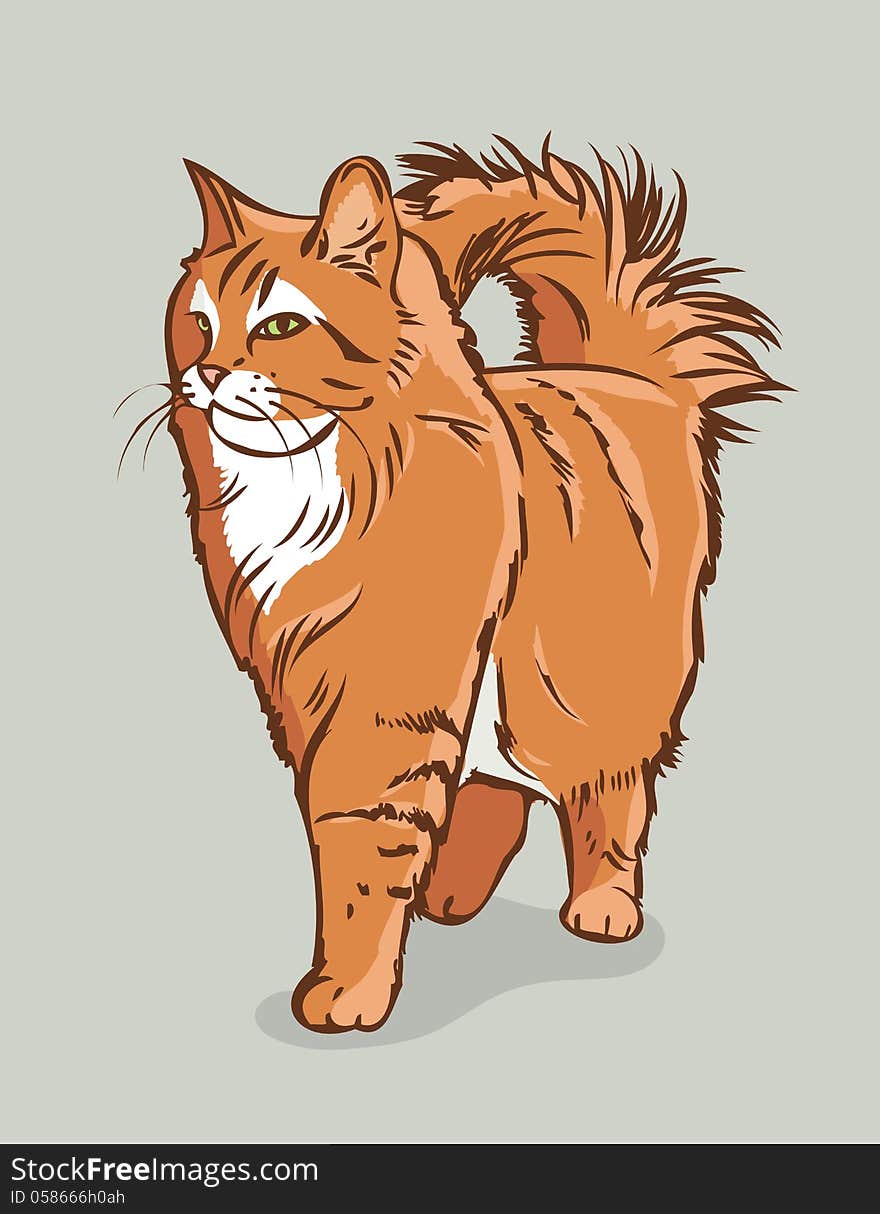 Vector illustration of persian cat