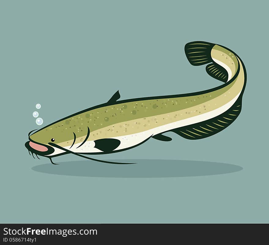 Vector illustration of catfish - cartoon