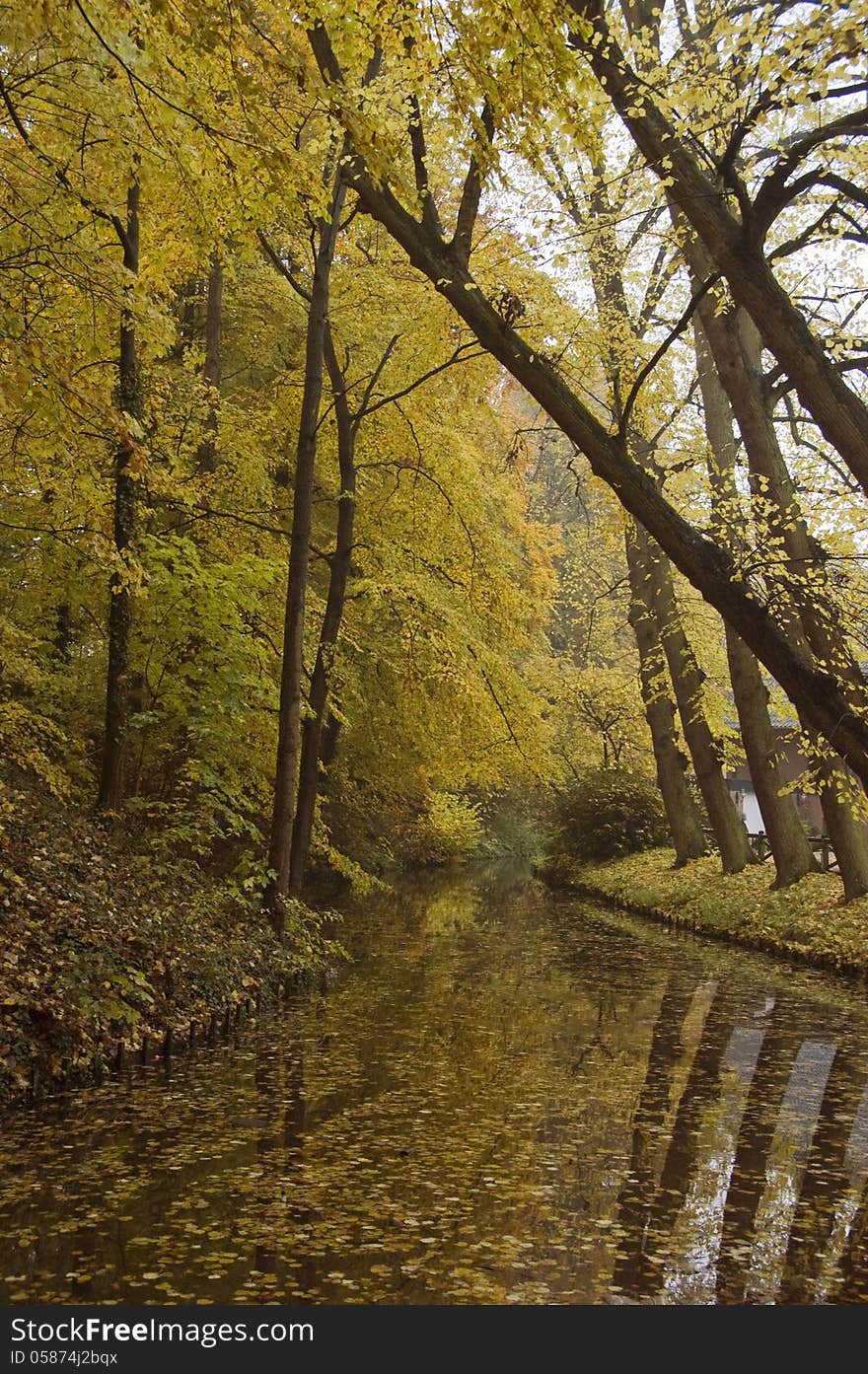 Park in autumn with trees reflecting in the water. Park in autumn with trees reflecting in the water