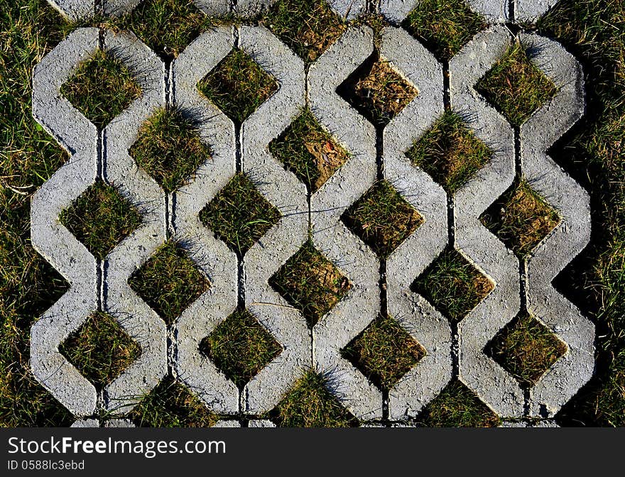 Grass between stones, block paving. Grass between stones, block paving