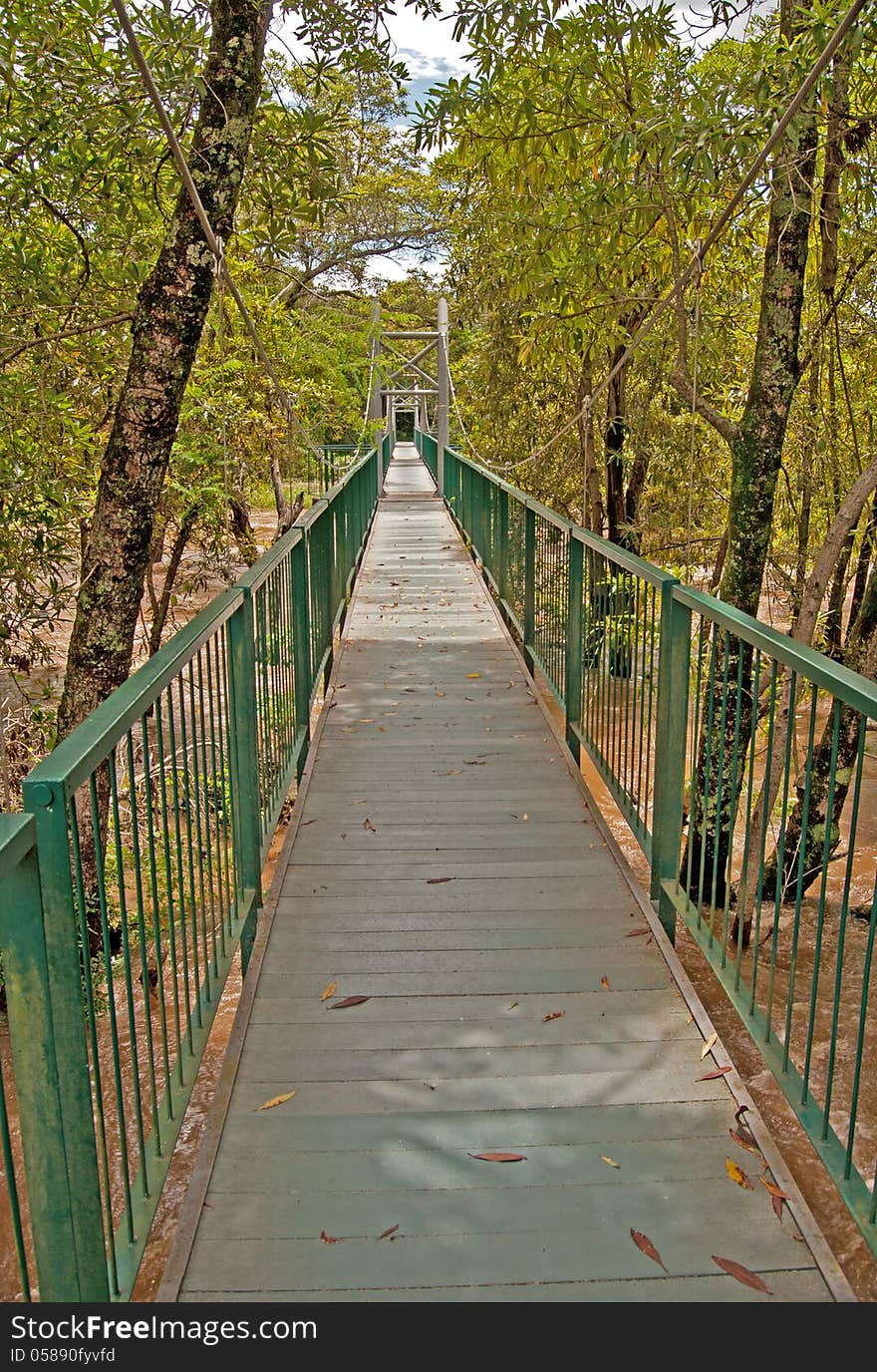 A long suspension foot bridge crossing the Crocodile River in the National Botanical Gardens in Nelsptuit, Mpumalanga, SouthAfrica. The river is in flood following heavy rains, hence the brown colour of the water