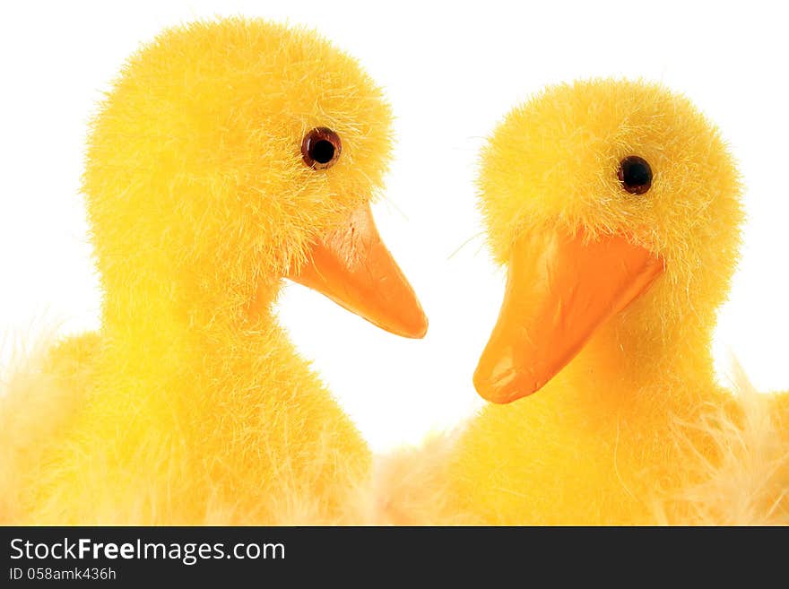 Easter or spring decoration: baby chicks, isolated on white.