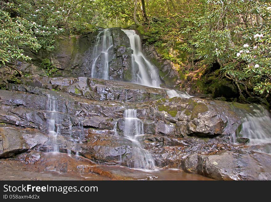 A milky waterfall and blooming rhododendron.