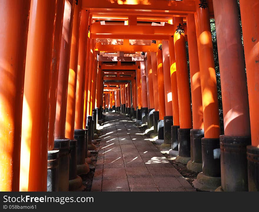 Fushimi Inari Taisha Shrine in Kyoto, Japan, famous for its many bright orange torii gates