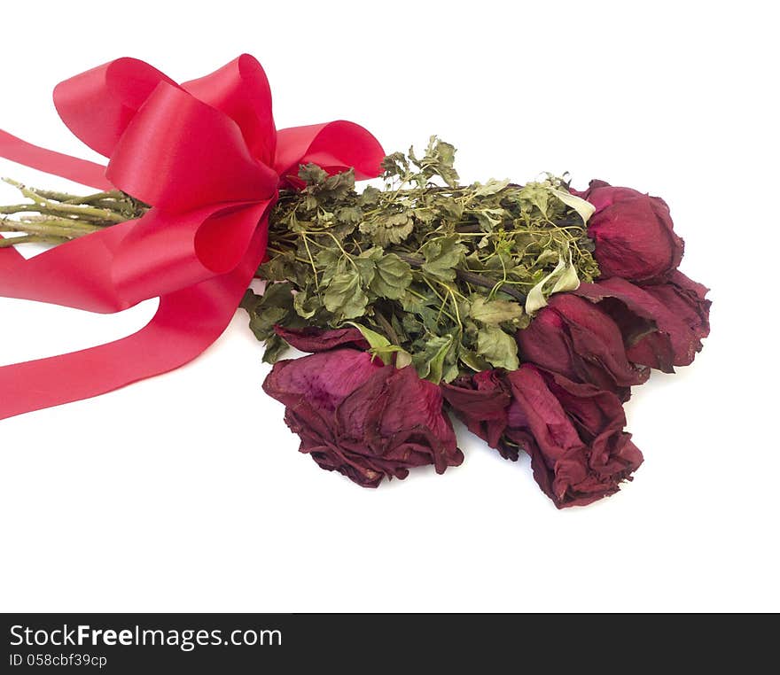 Dry rose isolated on white background