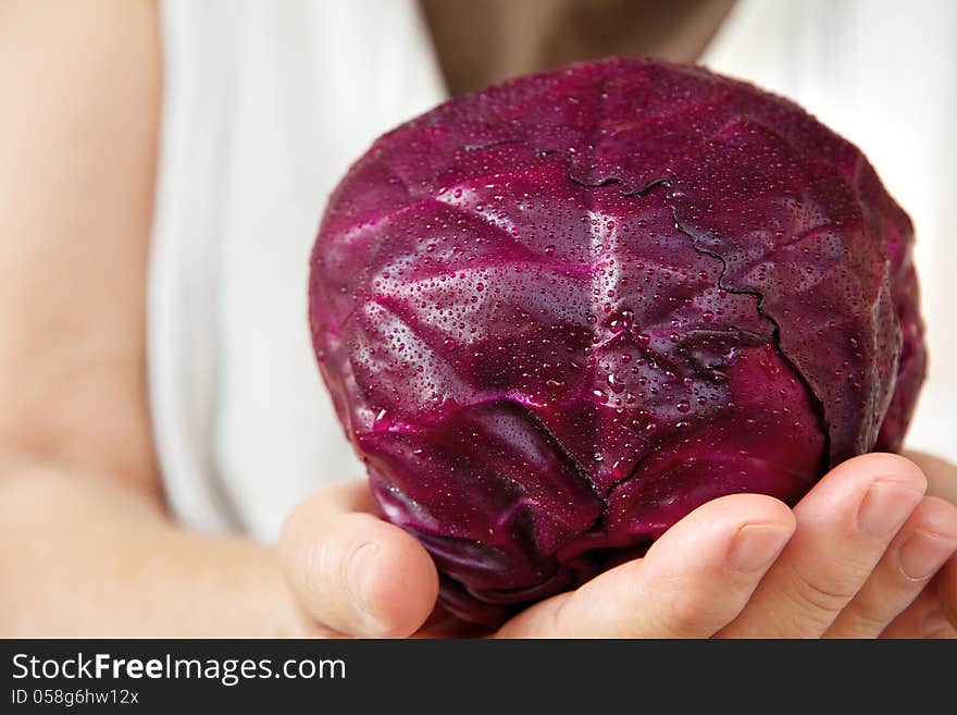 Image of hand holding red cabbage