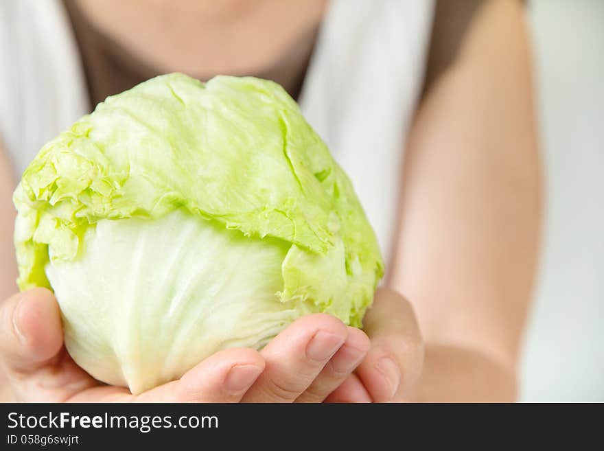 Hand holding fresh cabbage