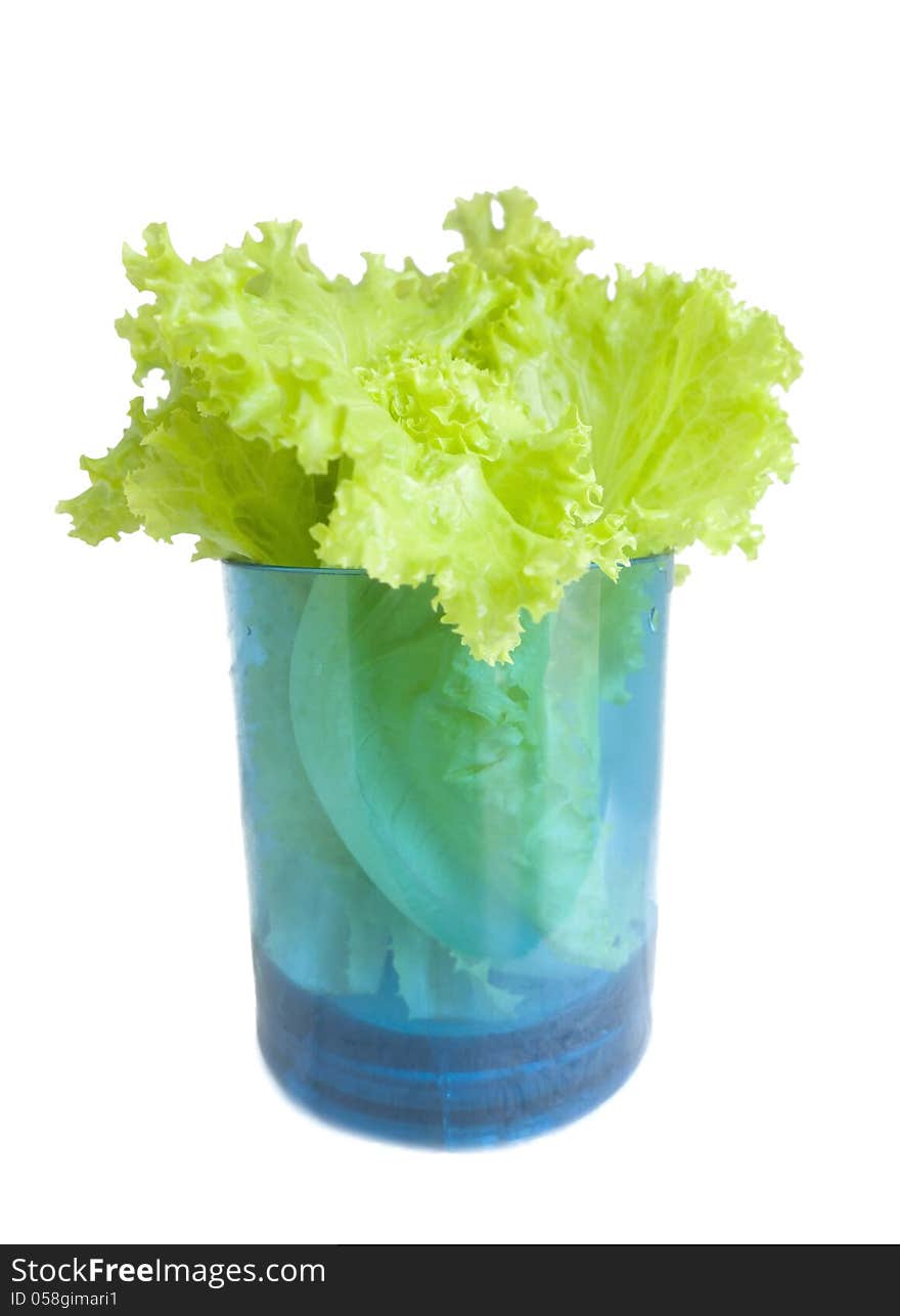 Fresh lettuce in glass on the white background.