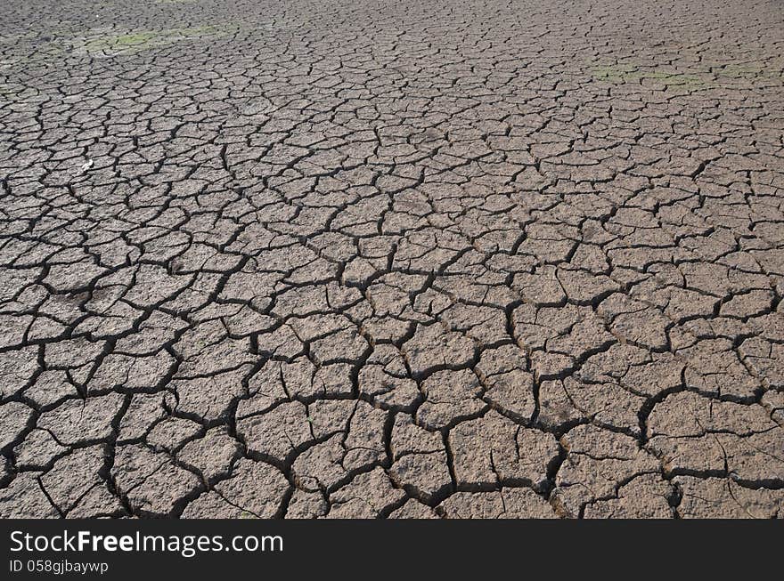 Dry land in Gundipet lake the South Indian state Andhra Pradesh